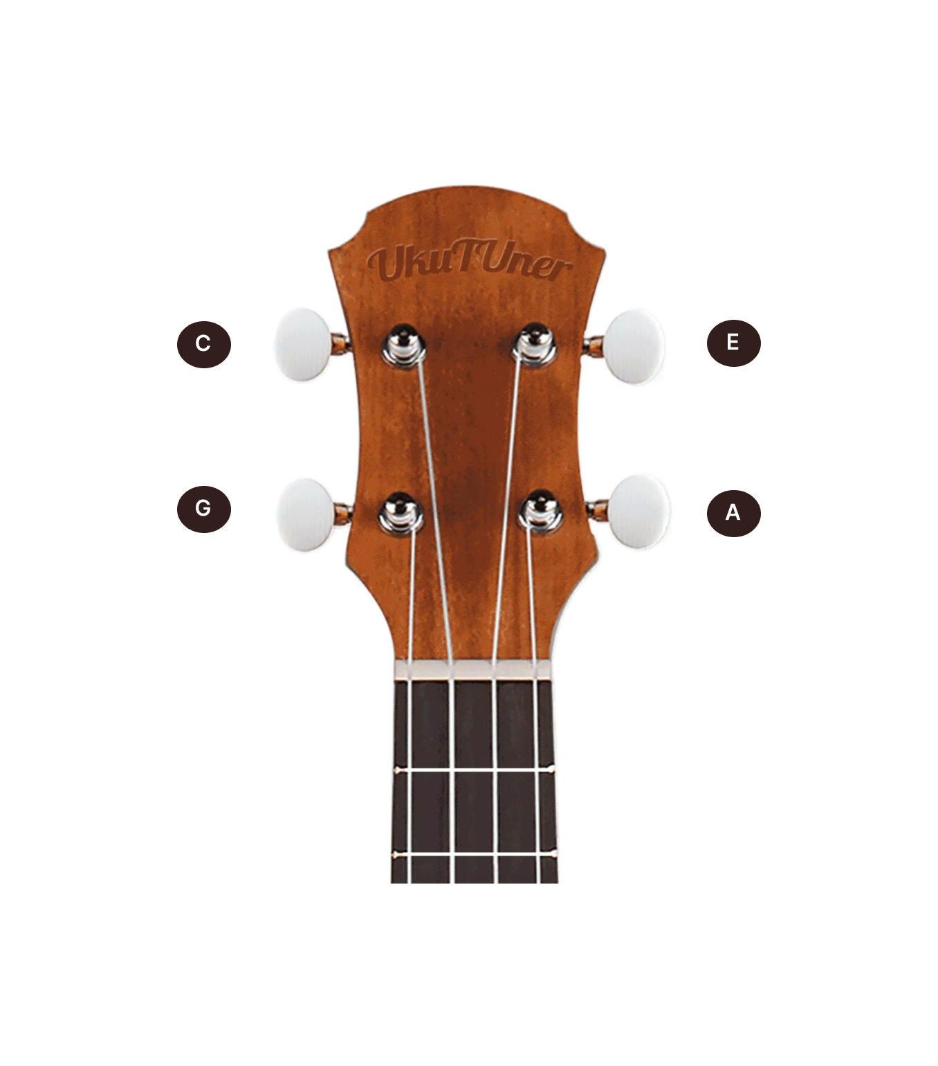 ukulele image